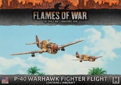 UBX52: P-40 Warhawk Fighter Flight (2 aircraft)